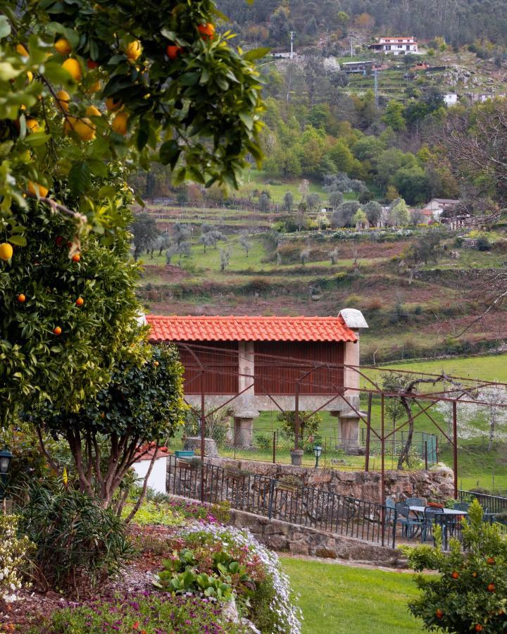 Villa Quinta Do Tapadinho - Wine & Tourism Moimenta Esterno foto
