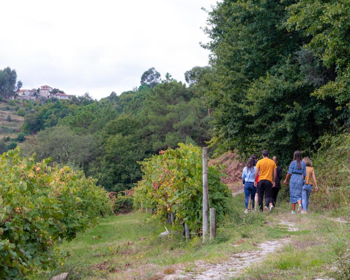 Villa Quinta Do Tapadinho - Wine & Tourism Moimenta Esterno foto