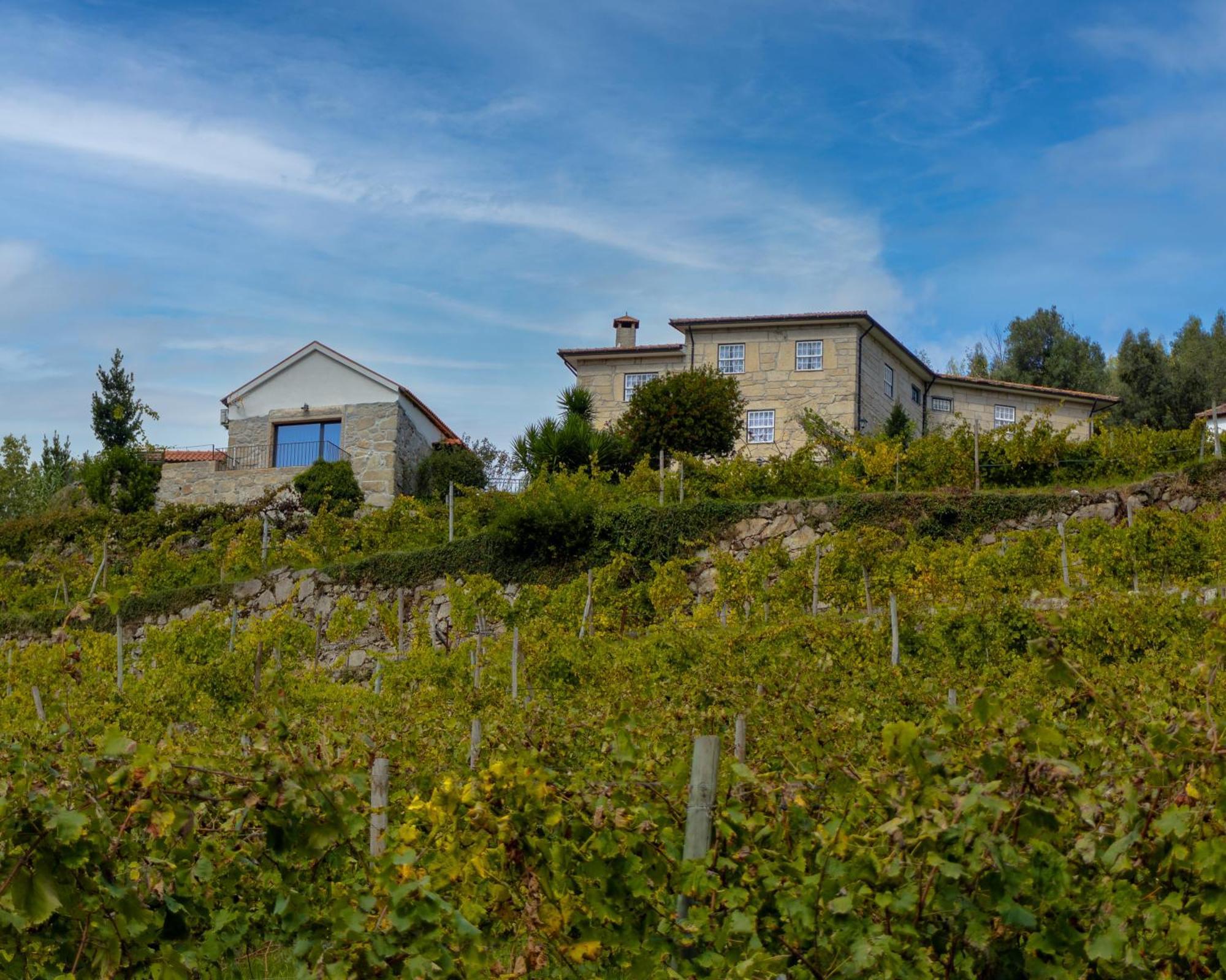 Villa Quinta Do Tapadinho - Wine & Tourism Moimenta Esterno foto